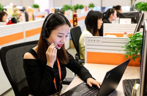 6類適合“老實人”的工作 在信息咨詢服務領域，找到人際關系簡單、工資高又能做長久的職業港灣